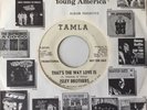 60s Motown - ISLEY BROTHERS - That's the way love is - 1967 US TAMLA PROMO VG+