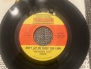 Garage Punk 45 THE MYDDLE CLASS Don't Let Me Sleep Too Long NM UNPLAYED rare
