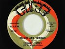 Blues R&B 45 - Elmore James - Rollin and Tumblin - Fire