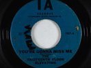 Garage Psych 45 - Thirteenth Floor Elevators - You're Gonna Miss Me - IA