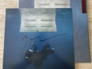 Billie Eilish Hit Me Hard And Soft Limited Grey Vinyl & HAND SIGNED Lithograph