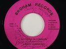 Larry Hammond 