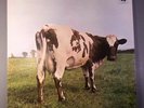 Pink Floyd Atom Heart Mother Quadrophonic Vinyl LP record NM/NM 1973 Q4 SHVL781