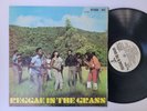 VA Reggae In The Grass STUDIO ONE Overdub + Reggae LP HEAR