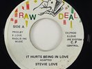 Stevie Love 
