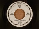 The Shindogs  Someday, Someday/Why  Promo Garage  1965 Warner Brothers