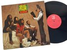 STEEL PULSE: True Democracy Vinyl LP 1982 Elektra E1-60113 VG/VG+