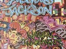 Luscious Jackson / Natural Ingredients 1994 US Marbled LP Grand Royal GR009