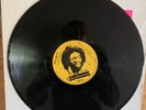 MICHAEL PROPHET : WARM THEM JAH.     KING SOUNDS