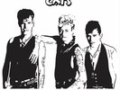 STRAY CATS 