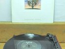 TALK TALK   LAUGHING STOCK - 1991 UK 1st Press Var.3 - 12