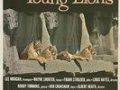 Lee Morgan Wayne Shorter The Young Lions  1961 Original  VJLP 3013 Vee Jay LP