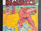 Beach Boys 