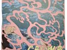 Hand #'d 116/400 PINK Vinyl EP Crumb Self Titled New Mint Indie Psych Rock RARE