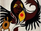 Willie Dunn Akwesasne Notes NEAR MINT unsere stimme Vinyl LP