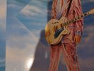 Elvis Presley , Elvis Sings World Hits , RCA Germany 1984