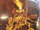 Sepultura Arise LP Album vinyl record Argentina import 180g remastered 2021