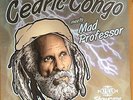 Ariwa Dub Showcase [VINYL], Cedric Congo Meets Mad Professor, lp_record, New, FR