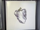 White Pepper by Ween Vinyl LP (2009 Plain Recordings Reissue, White Vinyl)