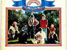 Sunflower The Beach Boys 1970 Vinyl Reprise Records Repress