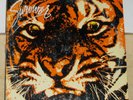 Survivor – Eye Of The Tiger - 1982 Vinyl  LP Record Album