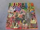 Sebadoh Smash Your Head On The Punk Rock Vinyl 1992, Green, VPI Cleaned, NM/NM
