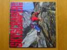 David Lee Roth Skyscraper Original 12