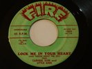 SOUL R&B-TARHEEL SLIM & LITTLE ANN-LOCK ME IN YOUR HEART-FIRE BRILL