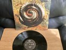 Nine Inch Nails - Closer To God 12” Vinyl Rare animal