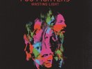 Foo Fighters - Wasting Light [VINYL] - SPECIAL OFFER- FREE DELIVERY- BARGAIN....