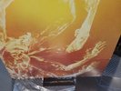 Tool Vinyl 3 lps Fear Inoculum