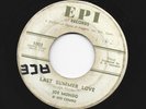 TEEN DOOWOP  bw/ ROCKABILLY 45 -JOE MONDO - LAST SUMMER LOVE - HEAR  -1963 E P I