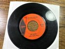 COSTA RICAN GARAGE PSYCH PUNK 45 Los Gatos ven Que Estoy INDICA Latin Mod 60s