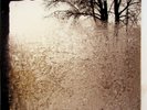 BON IVER For Emma, Forever Ago LP (NEW Vinyl 4AD Folk Rock) Justin Vernon 2008