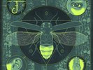 Jerry Cantrell - Brighten - Indie LP