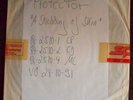 Protector A Shedding Of Skin LP  1991  Test-Pressung  Whitelabel