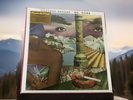 Weather Report Mr Gone MOV Ltd Ed 180g Gold & Black Marbled Vinyl LP Mint Sealed