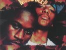 MOBB DEEP - A Hell Of Instrumentals - Vinyl (2xLP)