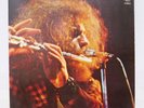 JETHRO TULL / GOLDEN JETHRO TULL JAPAN ISSUE LP W/ FILED BOOKLET