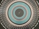 DUA LIPA Radical Optimism Vinyl Zoetrope Picture Disc /5000 Blood Recs SHIPS NOW