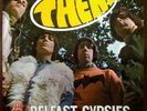 BELFAST GYPSIES-Them LP (60's UK Freakbeat Mod) MINT color vinyl