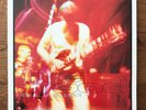 Paul Weller Live Wood 12
