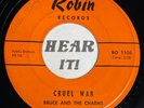 Obscure Upstate NY Teen 45 BRUCE & THE CHARMS How Can / Cruel War ROBIN hear