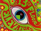 The 13th Floor Elevators* - The Psychedelic Sounds Of The 13th Floor Elevators V