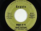 Northern/Sweet Soul 45 - True Nature - What It Is - Gogate - obscure