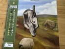 English Teacher SIGNED OBI STRIP Green Vinyl NUMBERED This Could Be Texas LP New