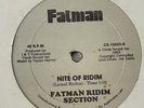 FATMAN RIDIM SECTION Night of Ridim - Cosmic Synth Boogie Funk Dub Reggae 12
