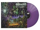 Gatecreeper 'Dark Superstition' LP Purple Vinyl NEW SEALED