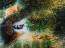 Pink Floyd/A Saucerful Of Secrets (Mono Version) SIJP118 New LP