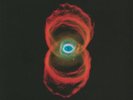 Pearl Jam - Binaural - NEW SEALED 2LP VINYL